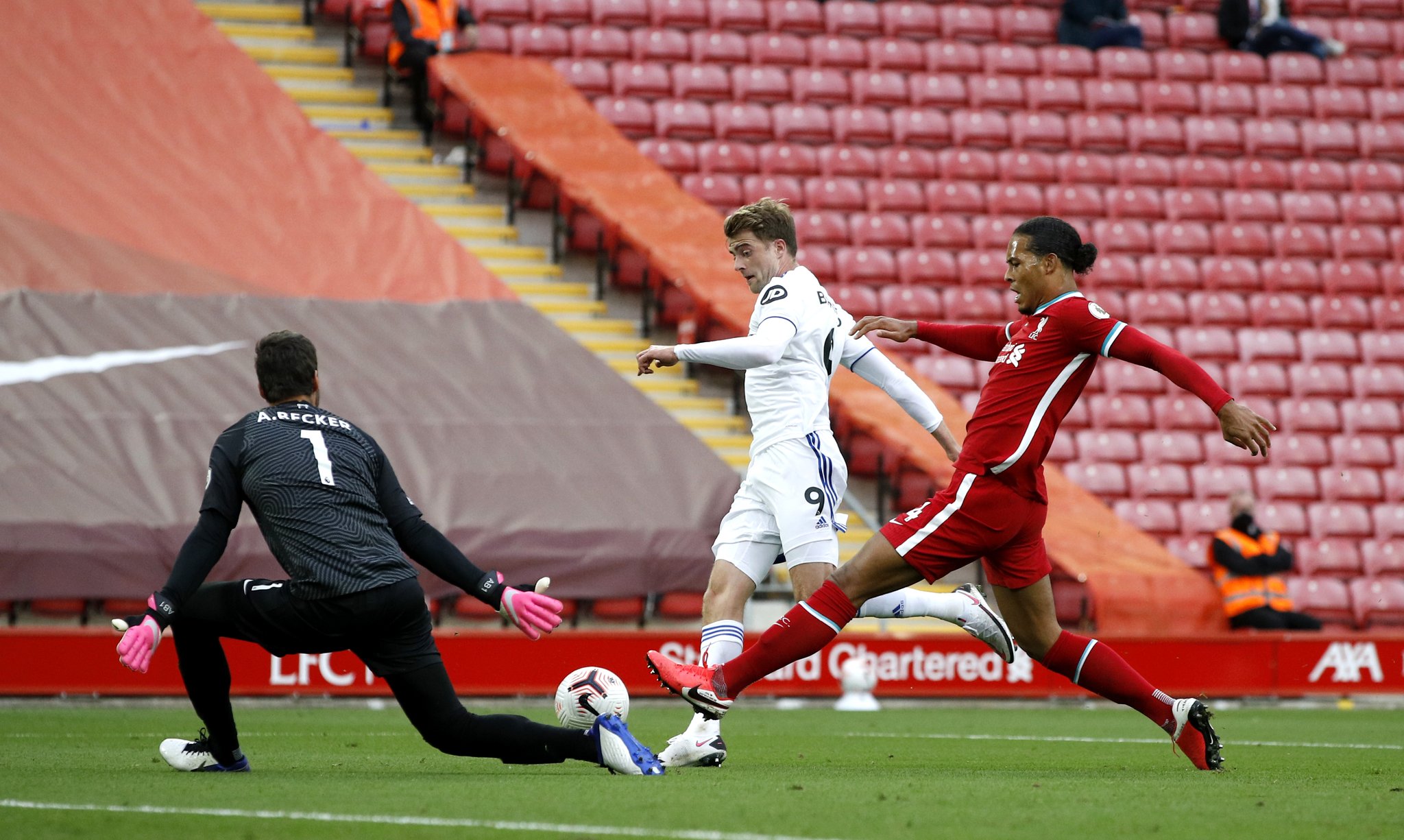 因可能包括 因可能包括